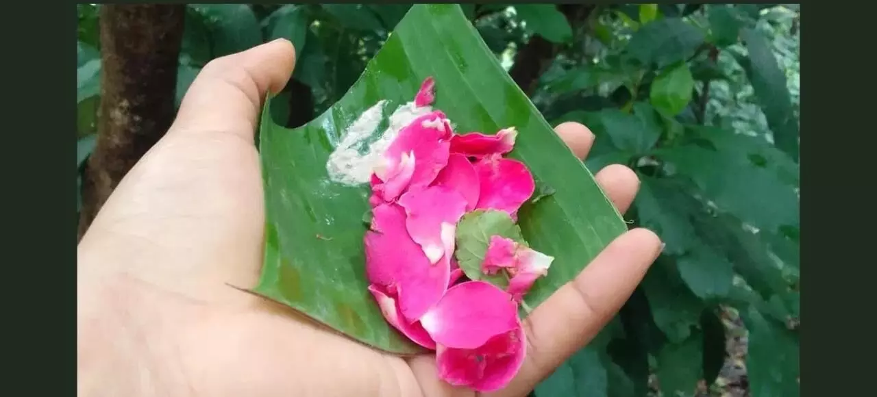 Temple Flower Offerings: దేవాలయాల్లో పుష్ప నైవేద్యాలు: ఏ పుష్పాంజలి చేస్తే ఎలాంటి ఫలితం లభిస్తుంది? Temple Flower Offerings: దేవాలయాల్లో పుష్ప నైవేద్యాలు: ఏ పుష్పాంజలి చేస్తే ఎలాంటి ఫలితం లభిస్తుంది?