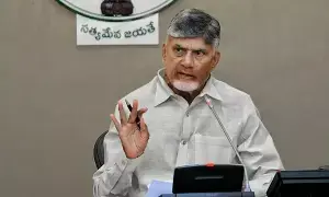 N. Chandrababu Naidu: వచ్చే మార్చి నాటికి 1.12 కోట్ల పట్టాదారు పాస్‌పుస్తకాలు పంపిణీ చేస్తాం: సీఎం చంద్రబాబు