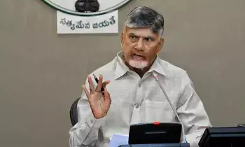 N. Chandrababu Naidu: వచ్చే మార్చి నాటికి 1.12 కోట్ల పట్టాదారు పాస్‌పుస్తకాలు పంపిణీ చేస్తాం: సీఎం చంద్రబాబు