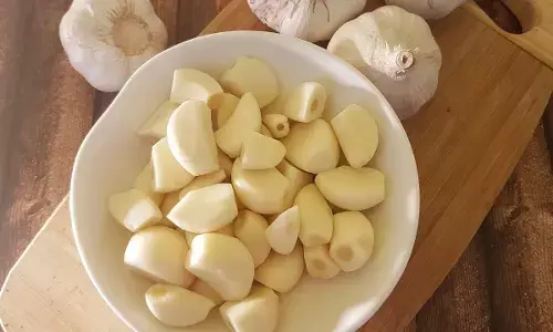 Daily Benefits of Eating Garlic: ప్రతిరోజూ ఒక వెల్లుల్లి రెబ్బతో అద్భుత ప్రయోజనాలు.. ఆ విటమిన్ల గని గురించి మీకు తెలుసా? Daily Benefits of Eating Garlic: ప్రతిరోజూ ఒక వెల్లుల్లి రెబ్బతో అద్భుత ప్రయోజనాలు.. ఆ విటమిన్ల గని గురించి మీకు తెలుసా?