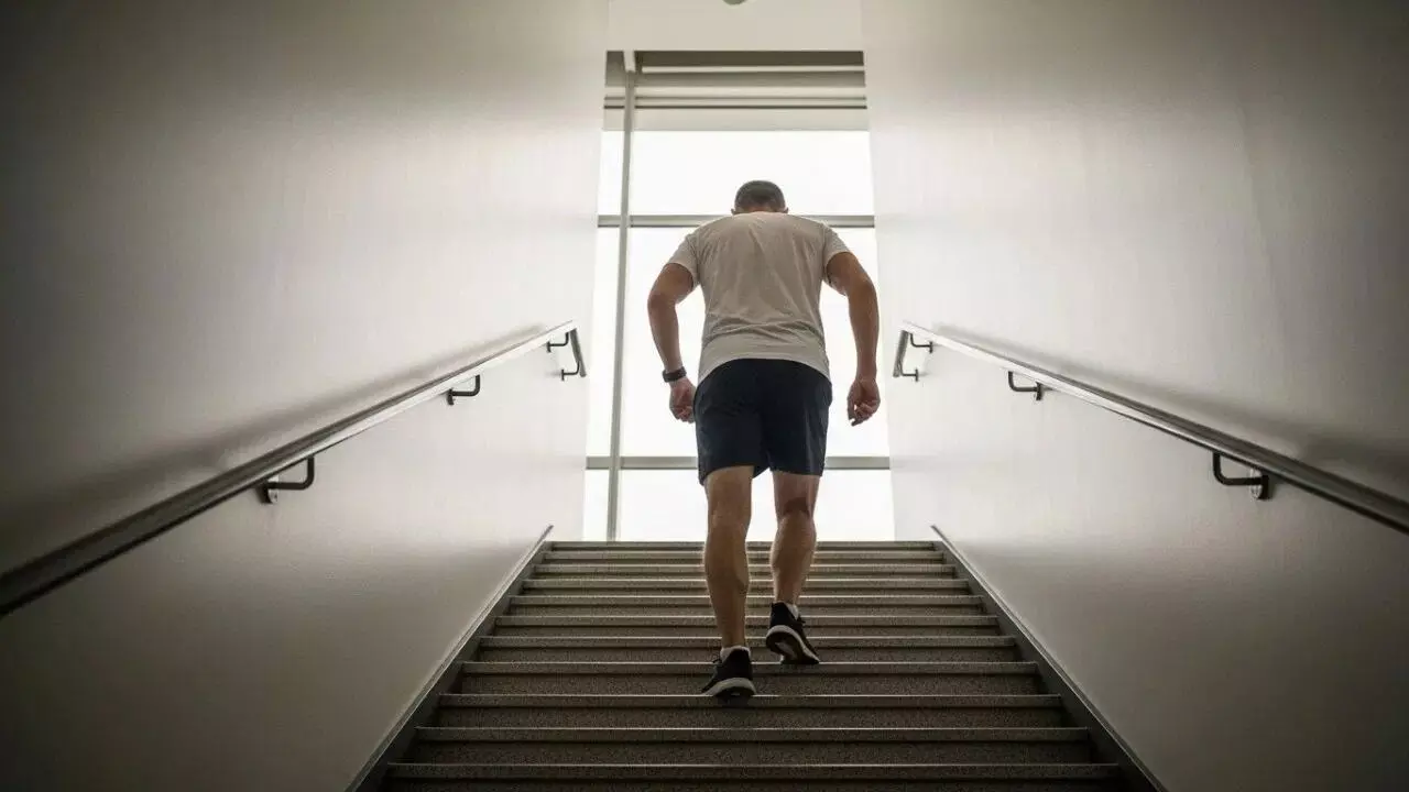 Getting Breathless While Climbing Stairs: మెట్లు ఎక్కుతుంటే ఆయాసం వస్తుందా? అయితే మీ గుండె, ఊపిరితిత్తుల ఆరోగ్యంపై దృష్టి పెట్టాల్సిందే.. Getting Breathless While Climbing Stairs: మెట్లు ఎక్కుతుంటే ఆయాసం వస్తుందా? అయితే మీ గుండె, ఊపిరితిత్తుల ఆరోగ్యంపై దృష్టి పెట్టాల్సిందే..