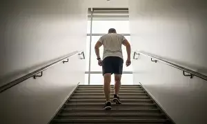 Getting Breathless While Climbing Stairs: మెట్లు ఎక్కుతుంటే ఆయాసం వస్తుందా? అయితే మీ గుండె, ఊపిరితిత్తుల ఆరోగ్యంపై దృష్టి పెట్టాల్సిందే.. Getting Breathless While Climbing Stairs: మెట్లు ఎక్కుతుంటే ఆయాసం వస్తుందా? అయితే మీ గుండె, ఊపిరితిత్తుల ఆరోగ్యంపై దృష్టి పెట్టాల్సిందే..