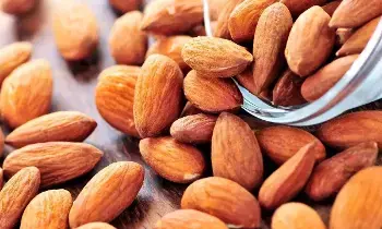 Eat Almonds: బాదం పప్పులను ఇలా తింటేనే ఎన్నో అద్భుతాలు.. మెరిసే చర్మం,పదునైన జ్ఞాపకశక్తి మీ సొంతం