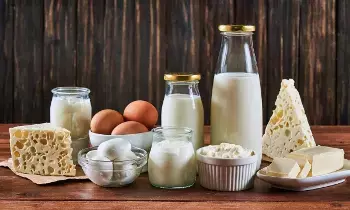 Avoid Milk and Curd for Two Weeks: రెండు వారాల పాటు పాలు, పెరుగు మానేస్తే ఏమవుతుంది? మీ శరీరంలో వచ్చే 4 ముఖ్యమైన మార్పులు ఇవే..